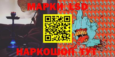 индика Заволжье