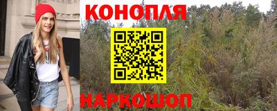 индика Заволжье