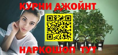 индика Заволжье