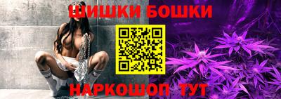 индика Заволжье