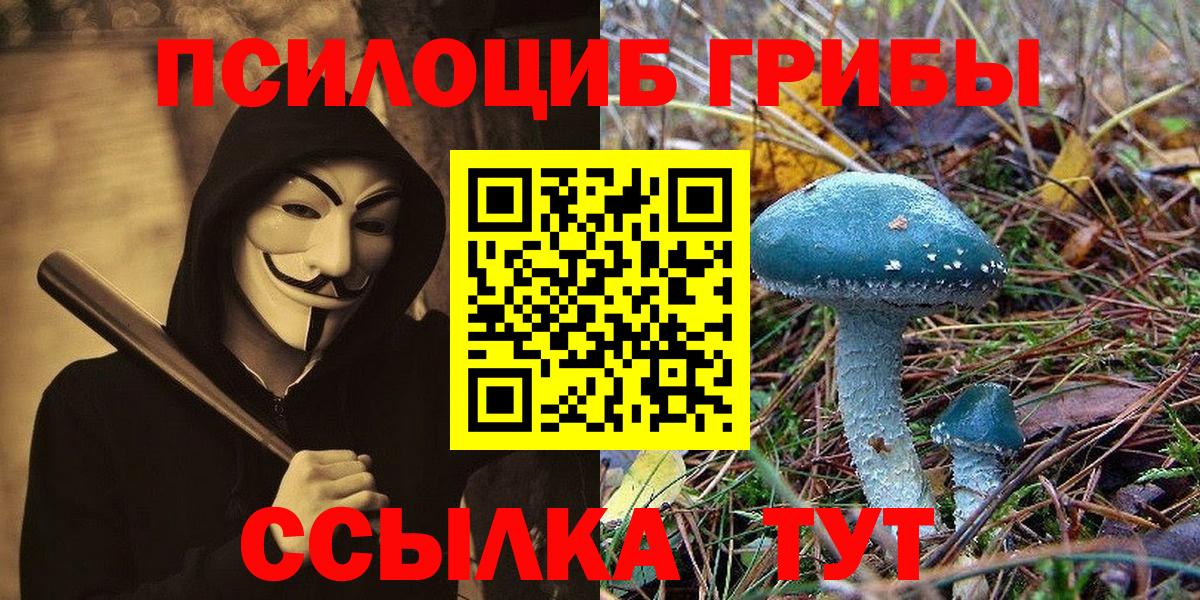 Красноперекопск  Псилоцибиновые грибы мухоморы  Псилоцибиновые грибы Psilocybe  Вход с VPN 